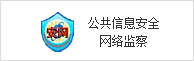 公共信息安全網絡監察